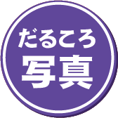 だるころギャラリーの項目へ