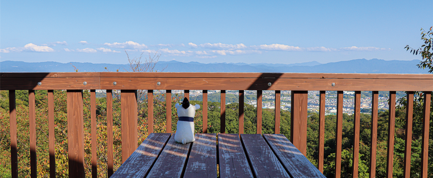 明神山の山頂からの風景写真