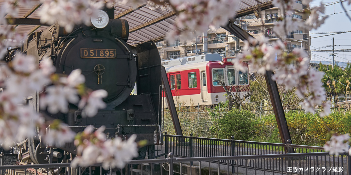 デゴイチと桜の写真