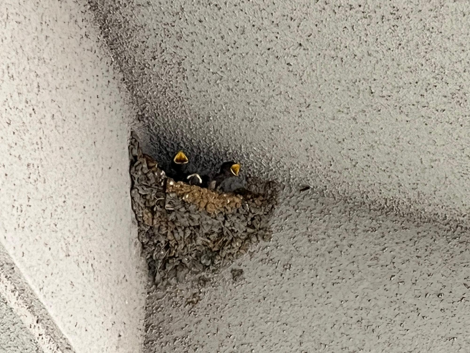 できごと