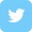 ツイッターボタン